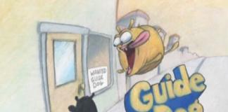 《导盲犬之心酸职场经历记》