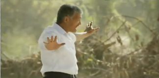 2012台湾大众银行新广告《生命树》