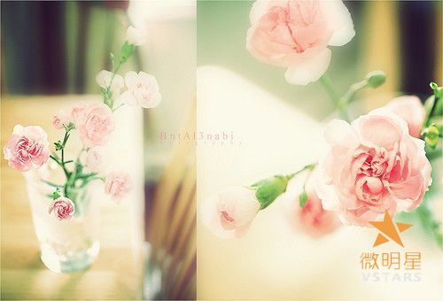 相片调色的各种风格和特点知一二