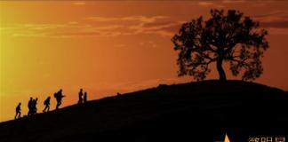 《希望树》感恩公益微电影