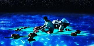 1977-2013历届奥斯卡最佳视觉效果奖合集