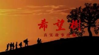 《希望树》感恩公益微电影