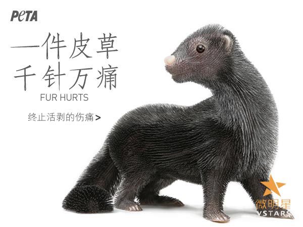 微明星网 千针万痛,公益短片 导演梁强 