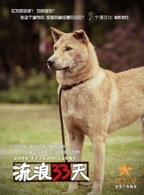 微明星网 感人微电影 郝帅 流浪33天 传闻A