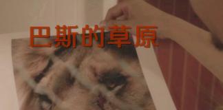 《巴斯的草原》请珍爱野生动物