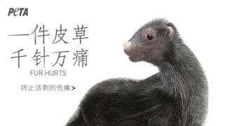 《千针万痛》公益宣传片