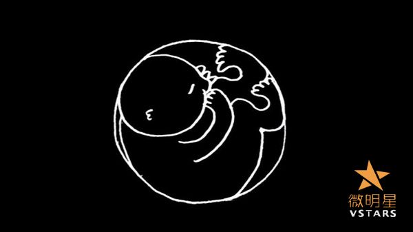 微明星网 丹麦诗人 爱情宿命论 奥斯卡 最佳动画短片