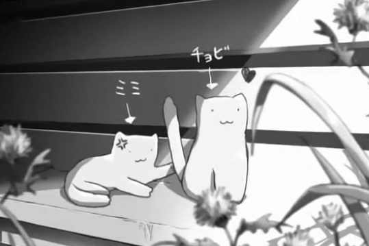 微明星网 动画片 她和她的猫 公猫 爱情