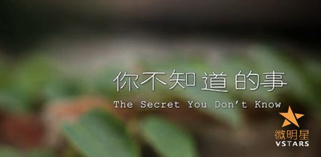 微明星网 你不知道的事