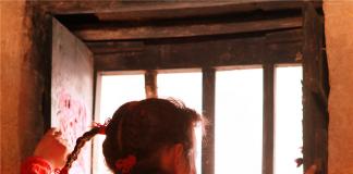 《我的兰花花》2013伦敦国际华语电影节入围影片