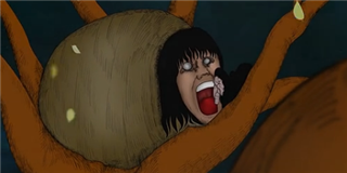 房子还是坟墓？——《黑水谭之巢》