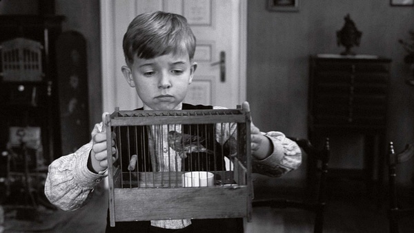 微明星网 佳作 黑白电影 艺术家 奥斯卡最佳影片 白雪公主斗牛记