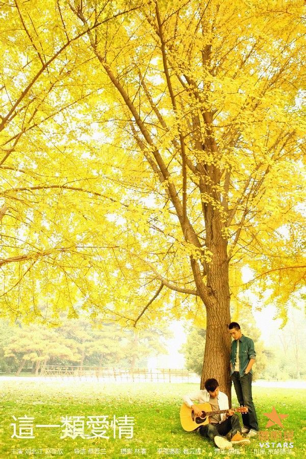 微资讯 蔡若兰 微明星网