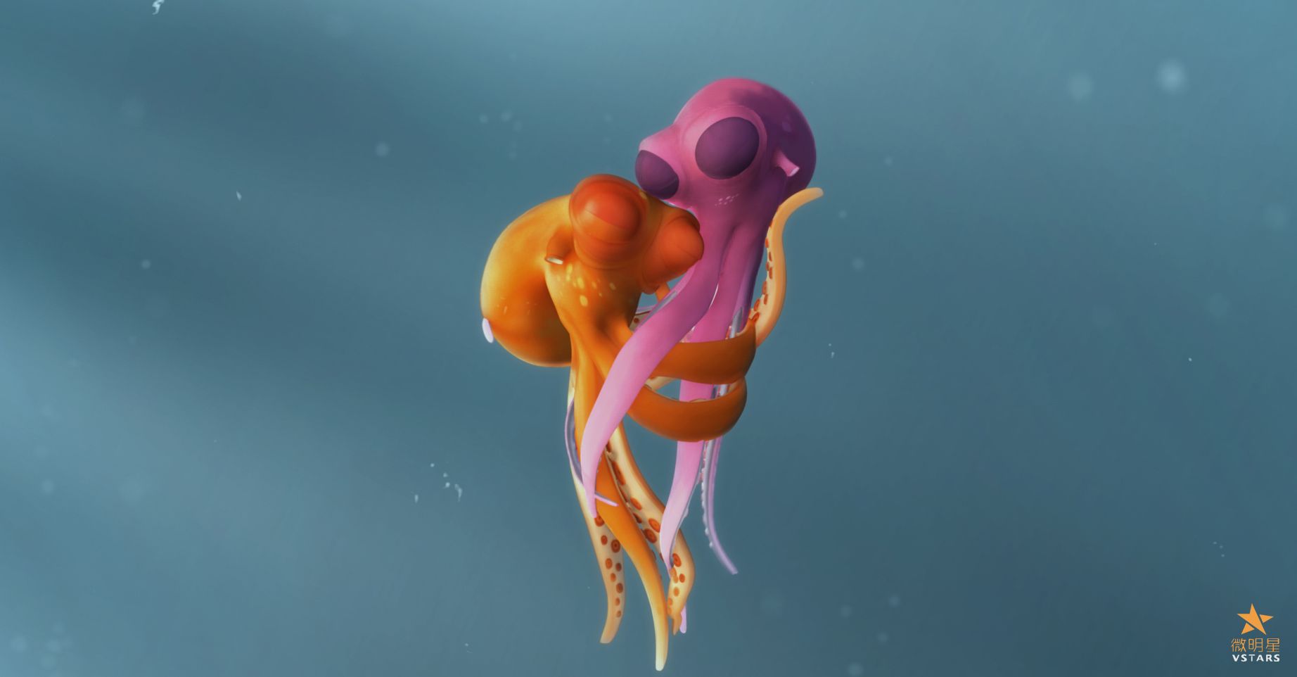 微电影 奥斯卡 动画 短片 章鱼的爱情 微明星网