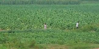 微电影《童年往逝》关于童年，关于友谊