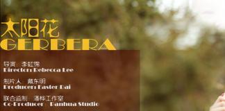 《太阳花》温馨的爱情故事