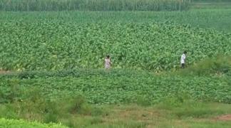 微电影《童年往逝》关于童年，关于友谊