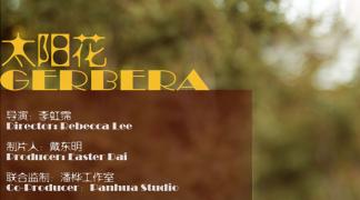 《太阳花》温馨的爱情故事