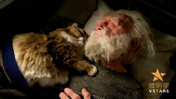 微明星网 微电影 温情微电影 彼得与狼 普罗柯菲耶夫 奥斯卡最佳动画短片