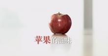 深沉而细腻的父爱《苹果的滋味》