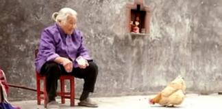 《一老、一少、一鸡》坚持的信念