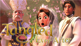 两枚戒指、两只萌宠、一个最完美的婚礼——《麻烦不断》