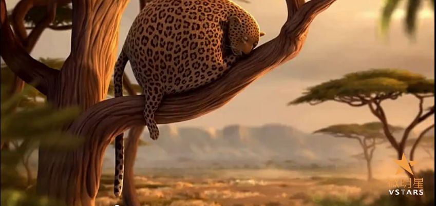 微电影 如果动物界都是胖子 微明星网