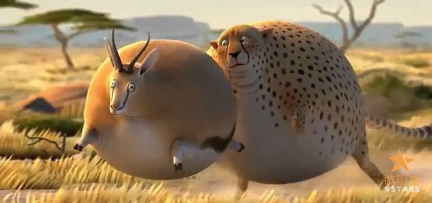 微电影 如果动物界都是胖子 微明星网