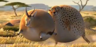 超呆萌《如果动物界都是胖子》完整版