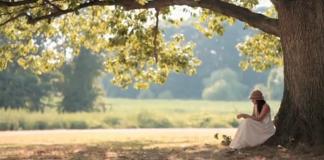 人生若只如初见《Here, Too》你也在这里