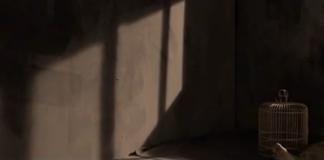 在幻想与现实中挣扎不已《十三》