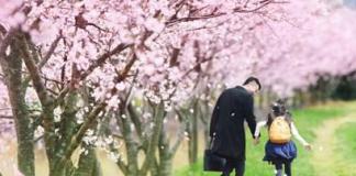 王岳伦献给Angela《小公主的愿望》