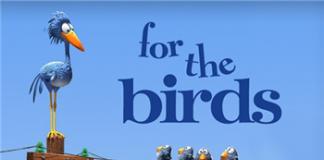 大鸟与小鸟之间的战争——《鸟！鸟！鸟！》