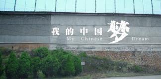 有爱的人才会不孤单，真实故事改编