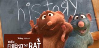 为老鼠讨个公道——《你的老鼠朋友》