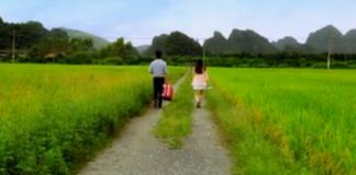 小清爱情新微电影《微光》