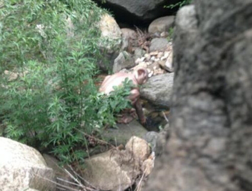 微明星网 怀柔 怪兽 北京