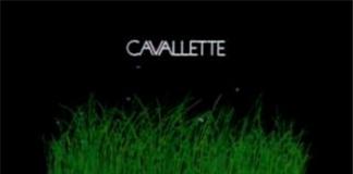 8分钟，看透人类历史——《伟大的历史动画》