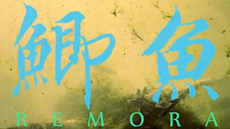 潮汕味道的亲情微电影《鲫鱼》