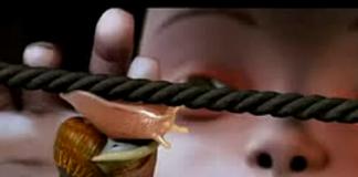 微电影 动画短片《蜗牛马戏团》