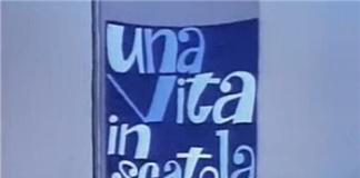 当你是一只罐头——《罐头人生》
