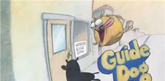 天煞孤星的导盲犬——《导盲犬》