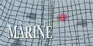 萌萌哒的海盗和小猫——《海盗船与碰碰猫》