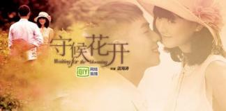 等待爱情回来——《守候花开》