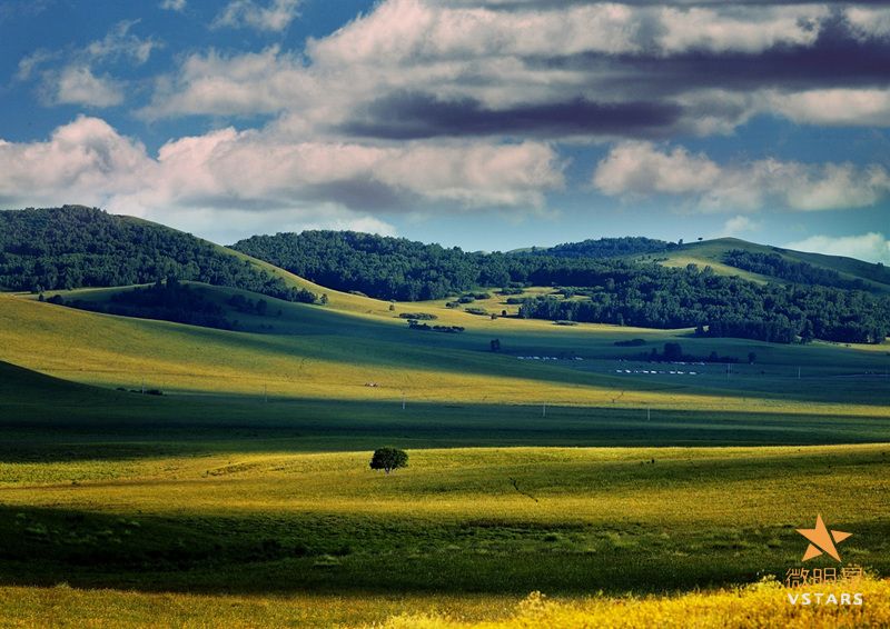 微明星网 一步之遥 姜文