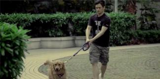 技术宅养狗记——《遍地黄金》