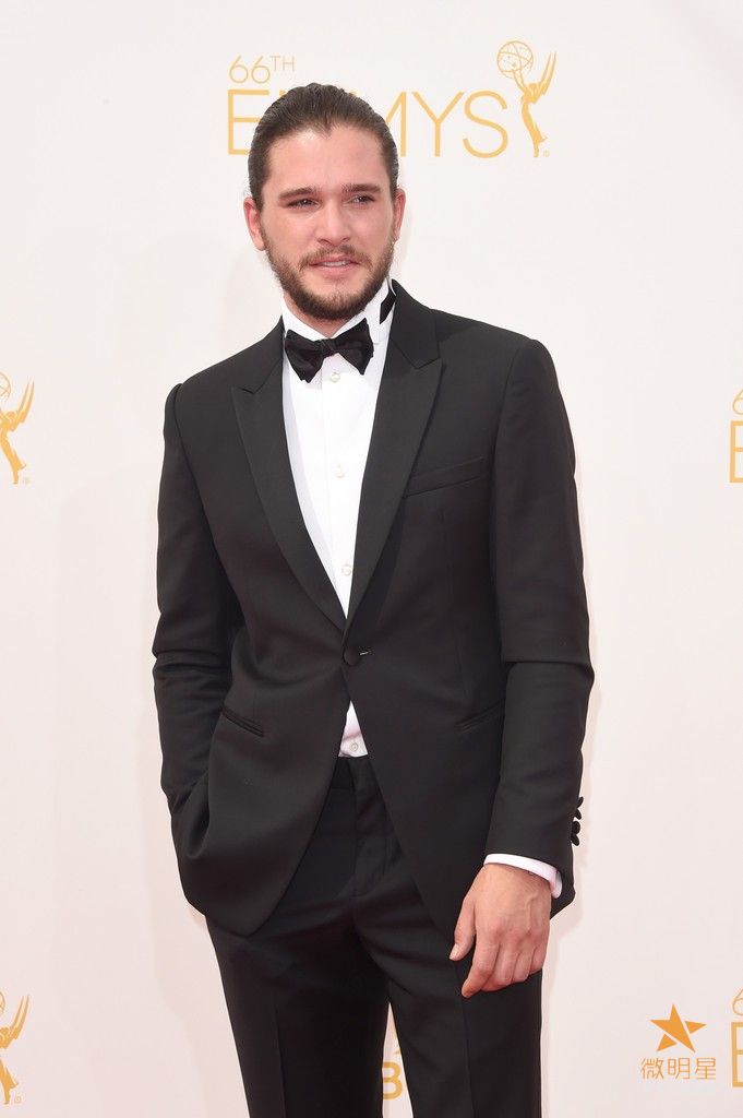 微明星网 艾美奖