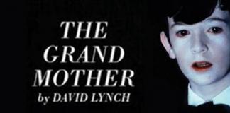 从泥土中来的祖母——《祖母》