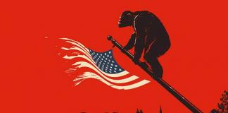 从《人猿星球》到《猩球崛起2》的半个世纪 猩猩发生了什么