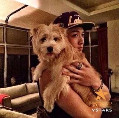 微明星网 柯震东 吸毒